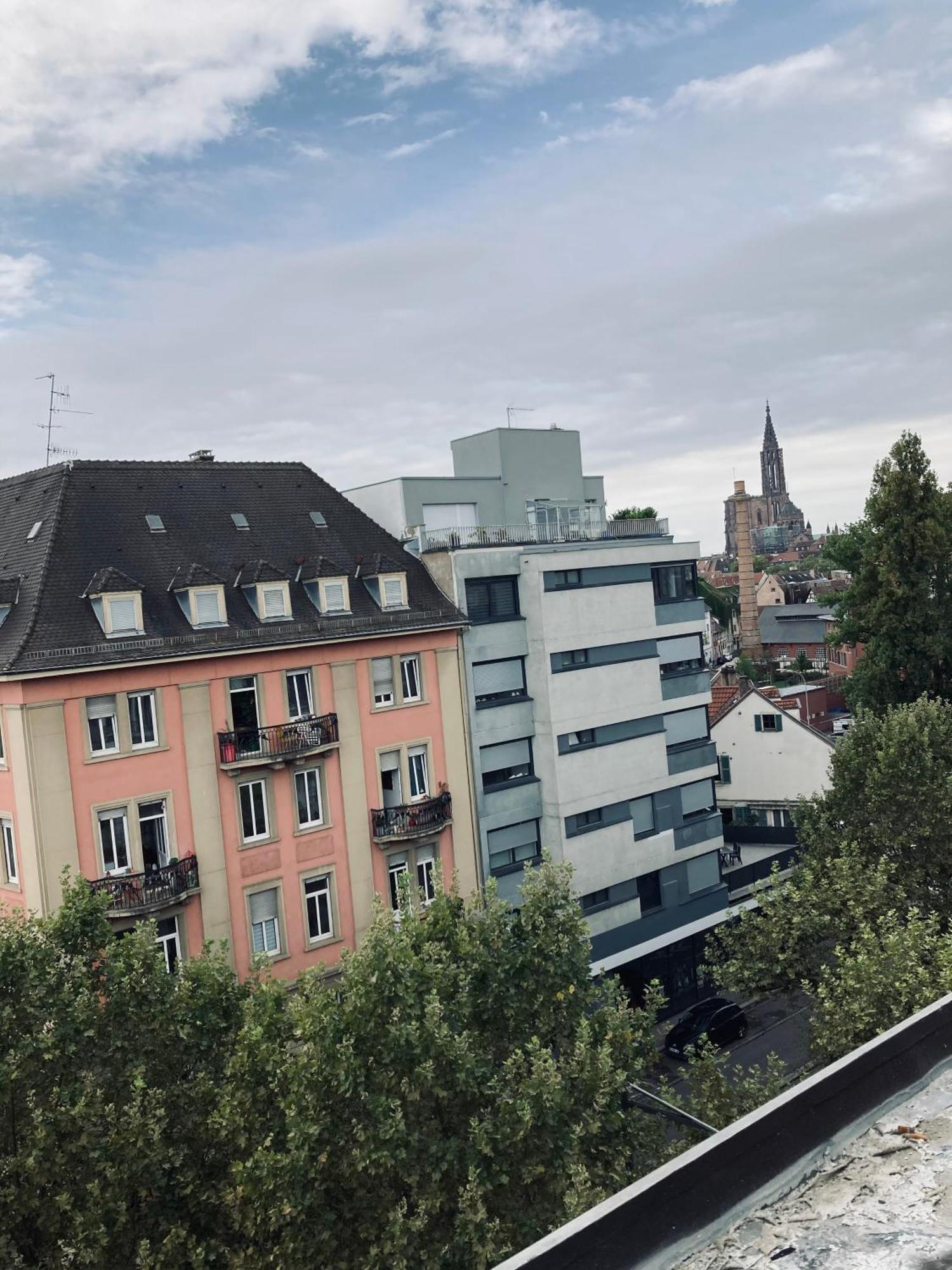Petit Nid Sympa A Strasbourg Apartment Екстериор снимка