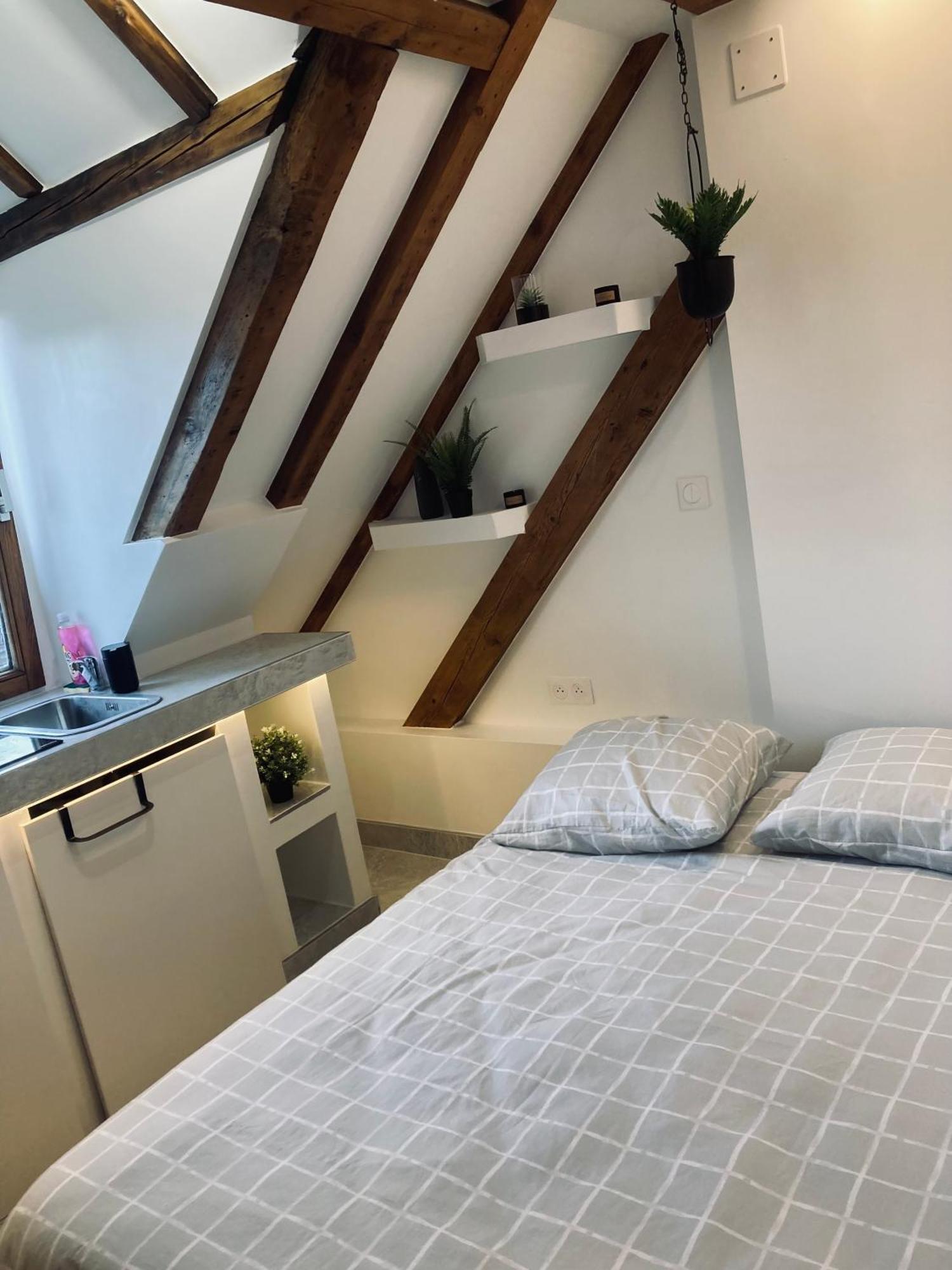 Petit Nid Sympa A Strasbourg Apartment Екстериор снимка